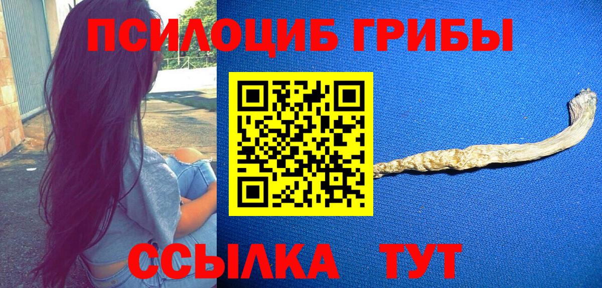 Галлюциногенные грибы Psilocybine cubensis Гагарин