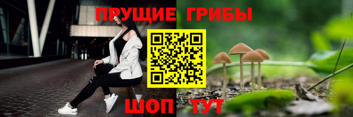 Псилоцибиновые грибы мицелий  Вход с VPN  Галлюциногенные грибы Psilocybe  Гагарин 